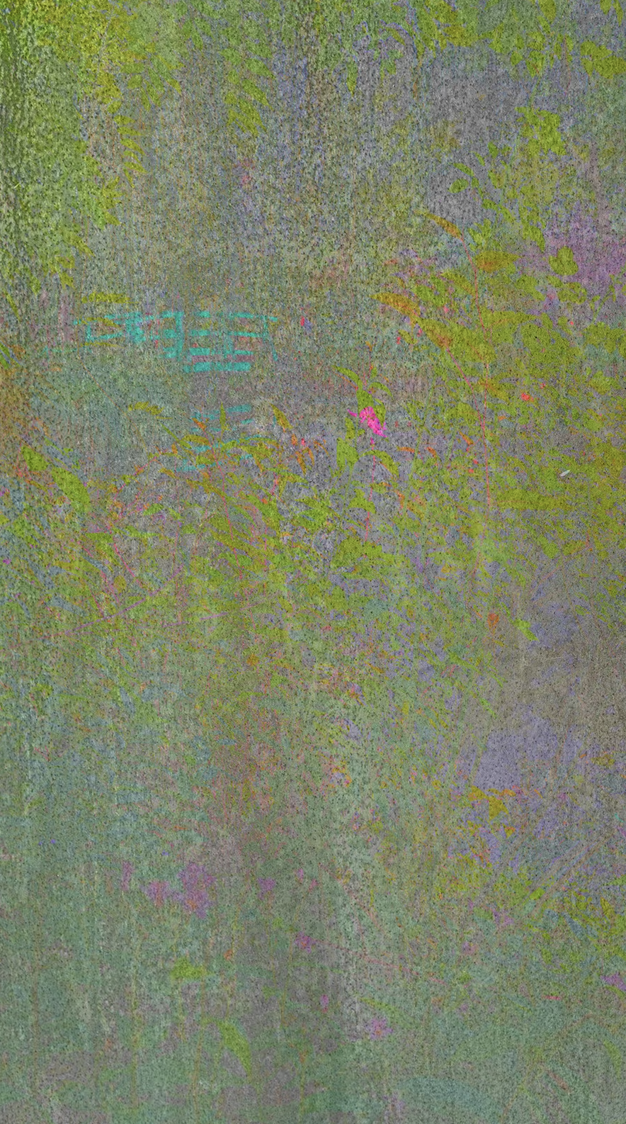 Coral Veil by George Legrady